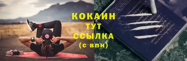PSILOCYBIN Армянск