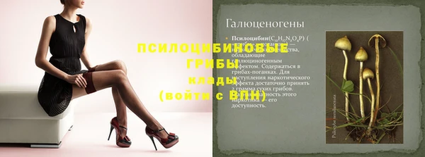 дурь Аркадак