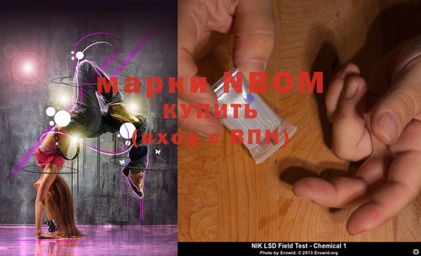 PSILOCYBIN Армянск